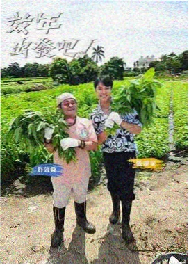 日综凌晨三点的便利店节目照